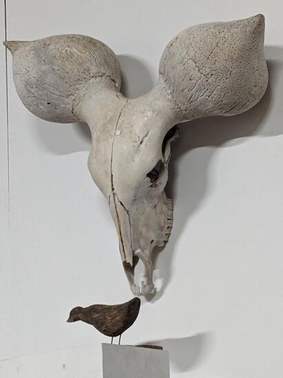 Curiosity ! Kouri trophy. 