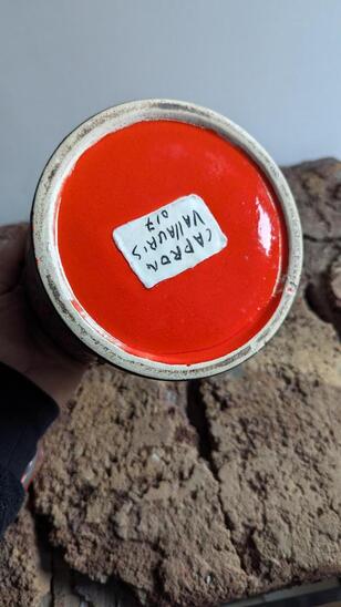 Robger Capron ceramic